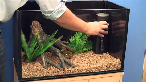 Fish Tank Setup (Beginners Guide): How to Set Up an Aquarium