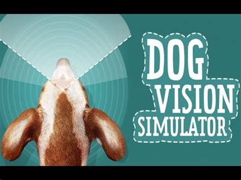 Dog Vision Simulator - Android App - YouTube