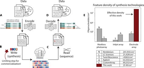 Storing information in DNA: Improving DNA storage with nanoscale ...