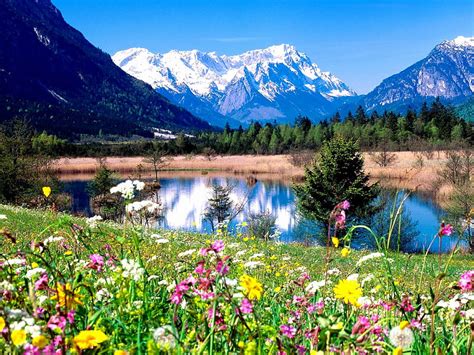 Spring, mountain, flowers, beauty, nature, river, landscape, HD ...