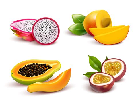 Tropical Fruits Realistic Set 481744 Vector Art at Vecteezy