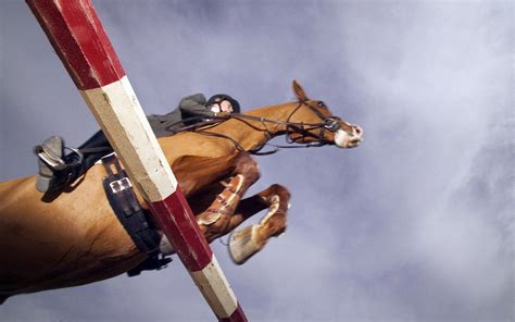 Épinglé sur Sports - Equestrian