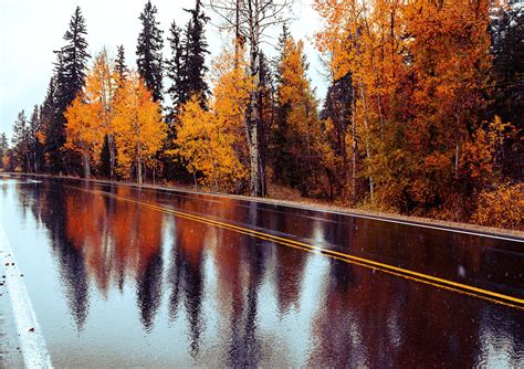 Autumn Reflections | Flickr