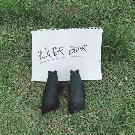 winter bear v - Google Search em 2020 | Capas de álbuns, Capa musica ...