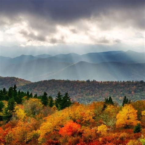 Asheville Nc Fall Colors 2024 - Inna Renata