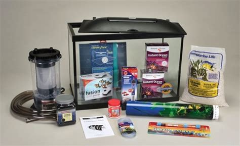 Saltwater Fish Tank Setup - 17 Essential Equipment for Beginner