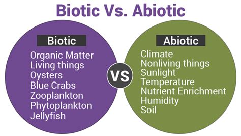 Biotic And Abiotic Cycle