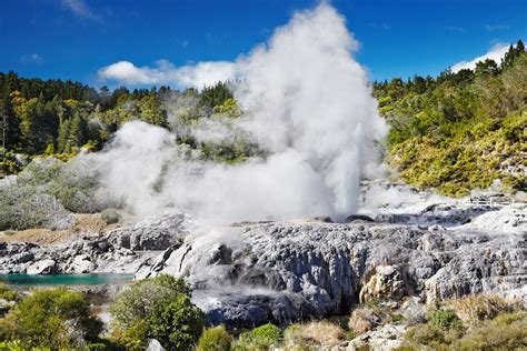 Les lacs de Rotorua - Nouvelle-Zélande