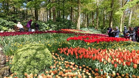 Keukenhof Flower Gardens : Lisse – Netherlands | Visions of Travel