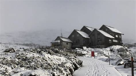 Ben Lomond National Park turns into winter wonderland after snowfall ...