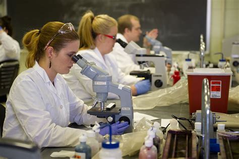 Medical Laboratory Science | Undergraduate Programs | The University of ...