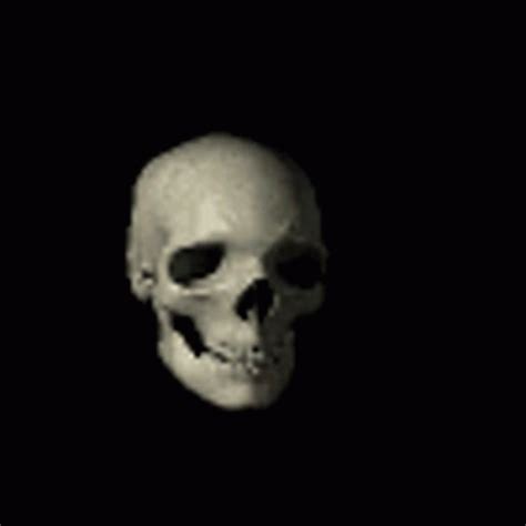 Rotating Skull GIFs | Tenor