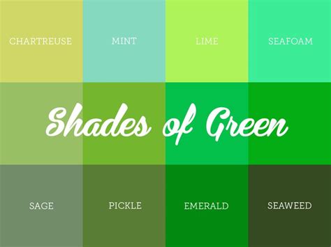 Understanding the Different Shades of Green | Shades of green names ...