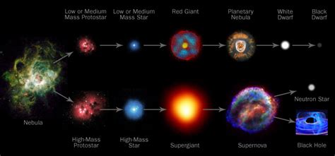 [DIAGRAM] Diagram Of A Low Mass Stars Life - MYDIAGRAM.ONLINE