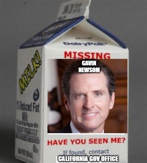 PHOTO Missing Have You Seen Me Gavin Newsom Milk Carton Meme