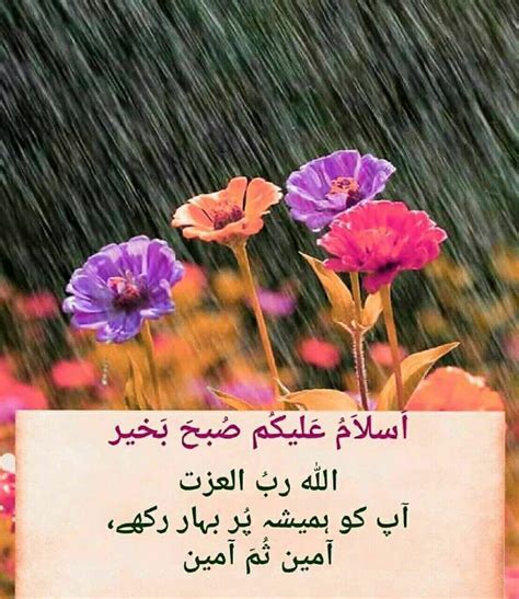 🌷Asma🌷 | Morning dua, Good morning images, Assalamualaikum image