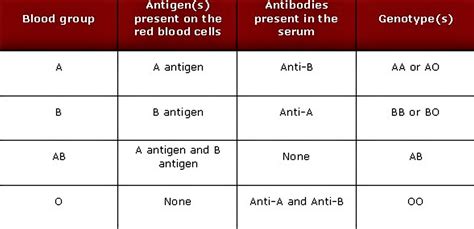 Human blood types explained, how do blood types work & blood types ...