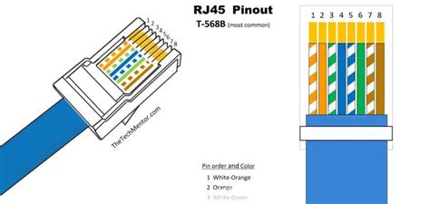 Cat5 Female Connector Wiring Diagram - Science and Education