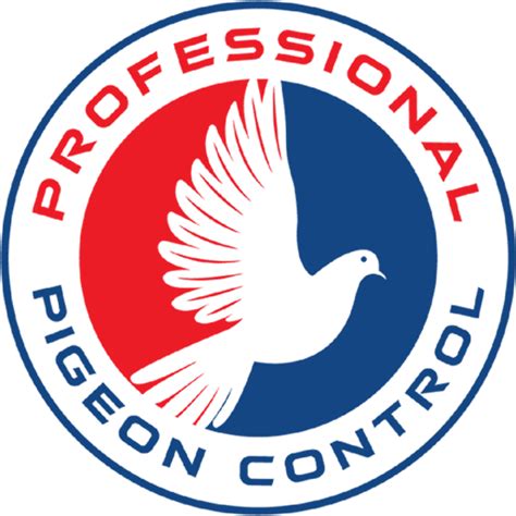 The #1 Best Pigeon Control | DIY Pigeon Control & Save!