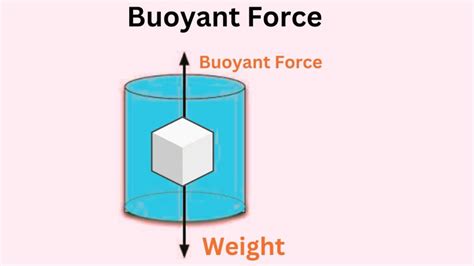 Buoyant Force-Definition, Cause, Demonstration, And Applications