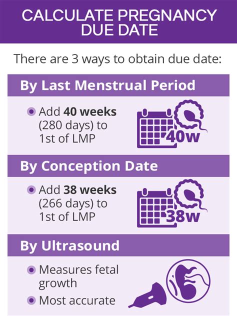 How To Find Out Date Of Conception - Heartpolicy6