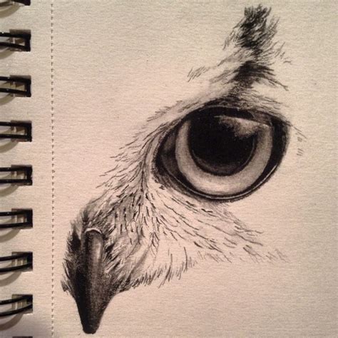 Owl Eye Drawing at GetDrawings | Free download