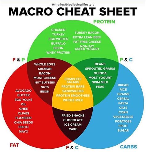 New to Tracking Your Macros!?!? - Here’s a Cheat Sheet to help you know ...