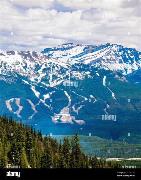 Lake Louise Ski Resort viewed from Lake Agnes trail; Lake Louise; Banff ...