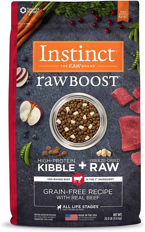 Best Dry Dog Food: Our Top 7 Kibble Brands in 2024