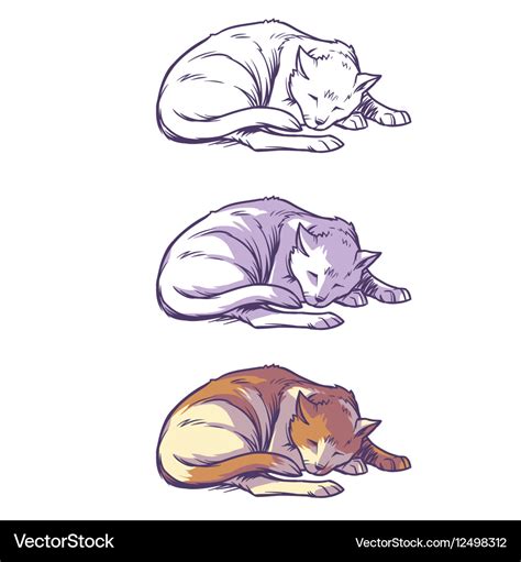 Sketch cat sleeping curled up Royalty Free Vector Image