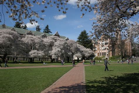 Campus Photo Tour: The University of Washington-Seattle | Unigo