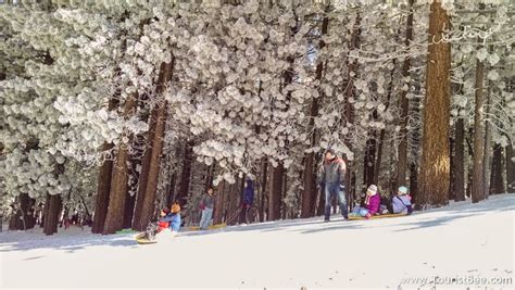 3 Snow Play Areas For Children Near Frazier Park Area | Best California ...