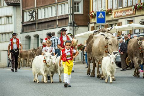 Switzerland's Extensive Cultural Life