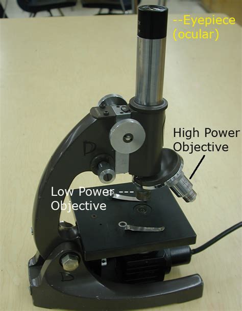 Calculating Microscope Magnification