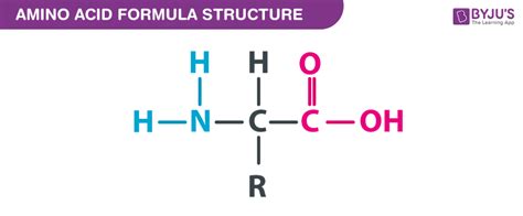 Amino Acid Formula - Chemical Formula Of Amino Acid On BYJU'S