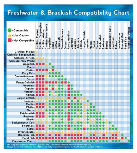 a chart showing the number and percentage of companies that have ...