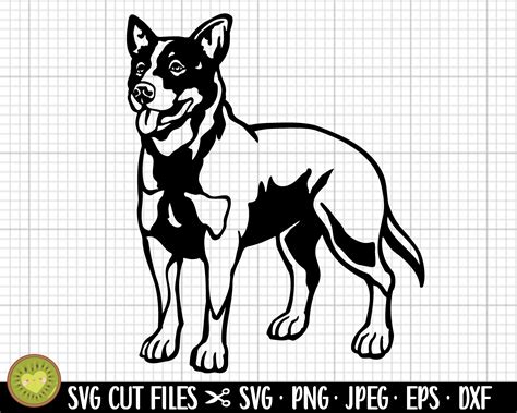 Blue Heeler Svg Blue Heeler Png Blue Heeler Clipart Blue - Etsy New Zealand