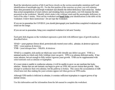 BIOL 3334 Yeast Auxotrophic Screen Analysis Fall 2020 | Chegg.com