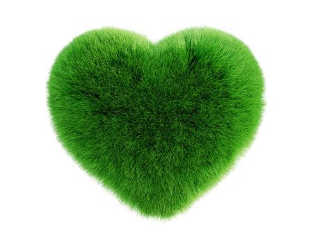 "Green Heart" Bilder – Durchsuchen 1,904 Archivfotos, Vektorgrafiken ...