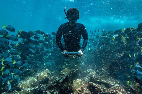 The Ultimate Galapagos Snorkeling Guide for Day Tours!