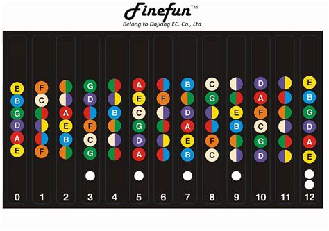 FineFun Guitar Fretboard Note Decals for Beginners | Zaid Crowe