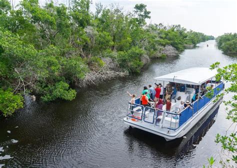 Flamingo rises again in Everglades National Park | Daily Break ...