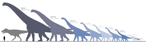 Sauropods of Maastrichtian North America by https://randomdinos ...