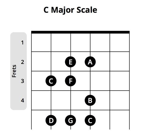 Most Popular Beginner Guitar Chords Chart | Musician Tuts