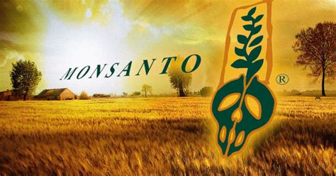 New claims against Monsanto in consumer lawsuit over Roundup herbicide ...