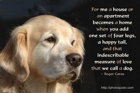 29 Inspirational Dog Quotes about Life and Love - PlayBarkRun