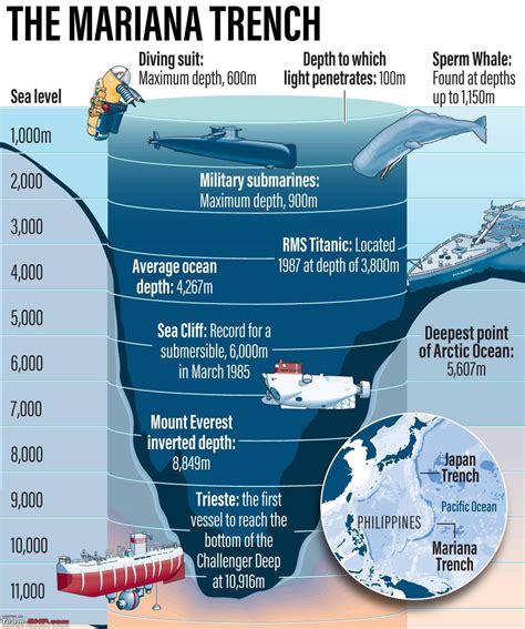 11+ Mariana Trench Diagram - StefenDaryl