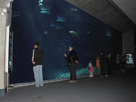 Johnson Architectural Group - Portfolio - 1993 Monterey Bay Aquarium ...