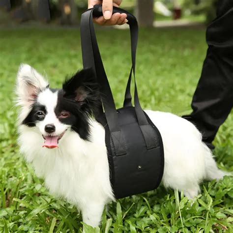 Dog Wheelchair Harness | Stand Tool Harness | Dog Protector Rope ...