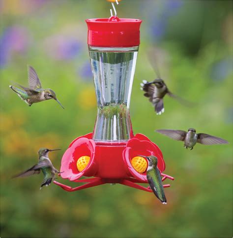 World S Best Hummingbird Feeder | AdinaPorter